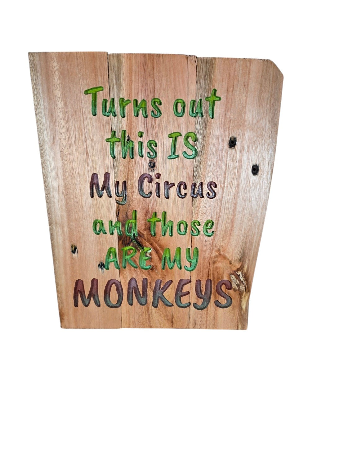 TK Wood Designs rustic wooden sign with carved text reading Turns out this IS My Circus and those ARE MY MONKEYS