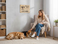 TK Wood Designs wooden wall sign reading Spoiled Dogs Live Here hanging above a woman petting two dogs in a living room