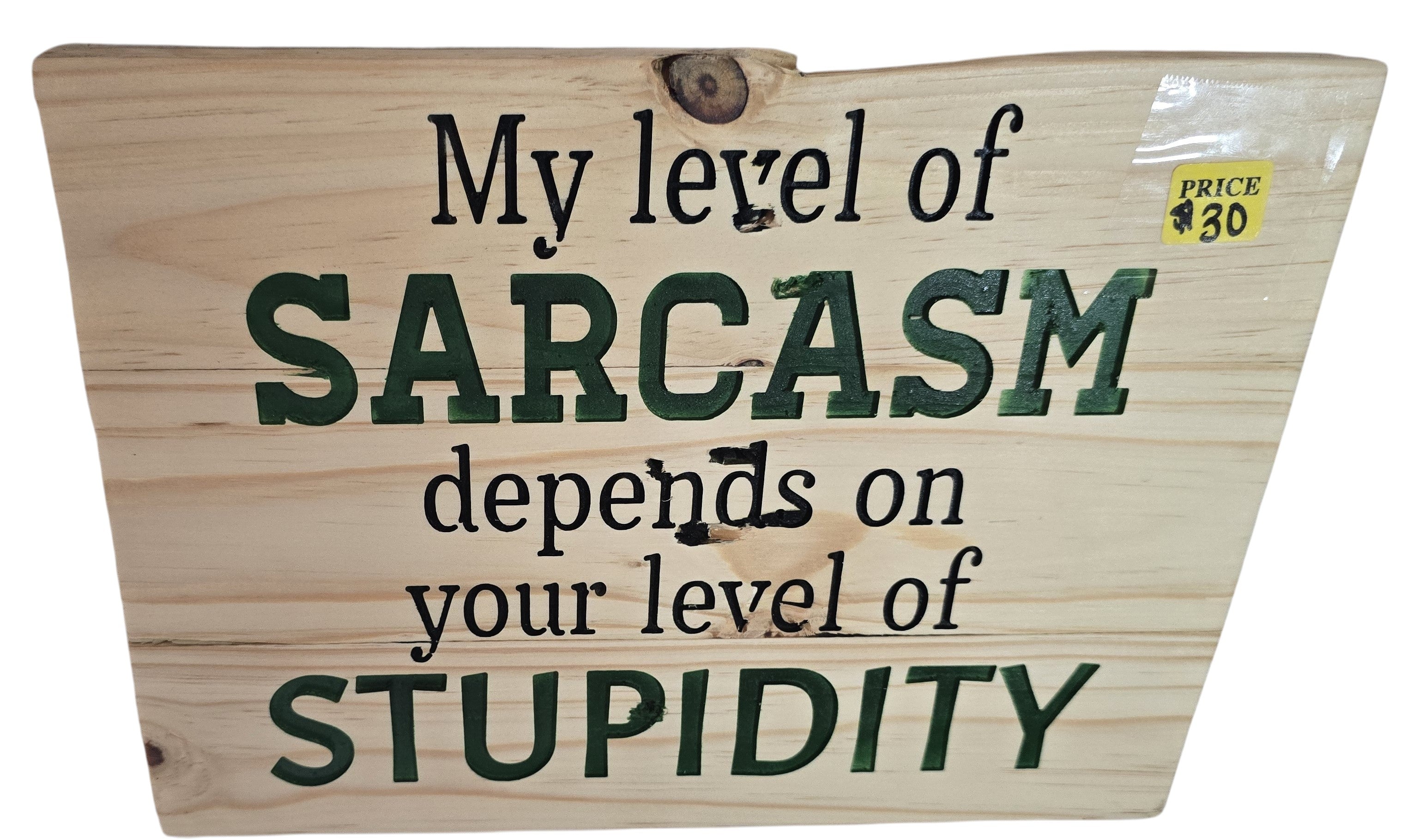TK Wood Designs natural wood sign with green and black text reading "My level of SARCASTIC depends on your level of STUPIDITY".